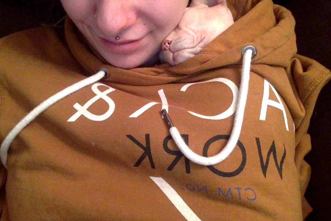 wrinklepaws:  My name is Snort and I like warm hugs