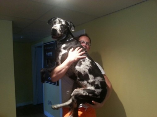 They might be big but they still enjoy a cuddle :)