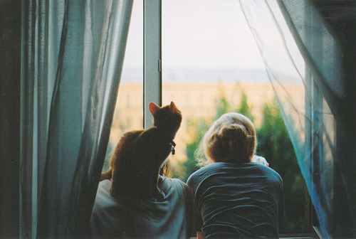 fotosfornovelas:  -Chicas con Gatos-Gatos