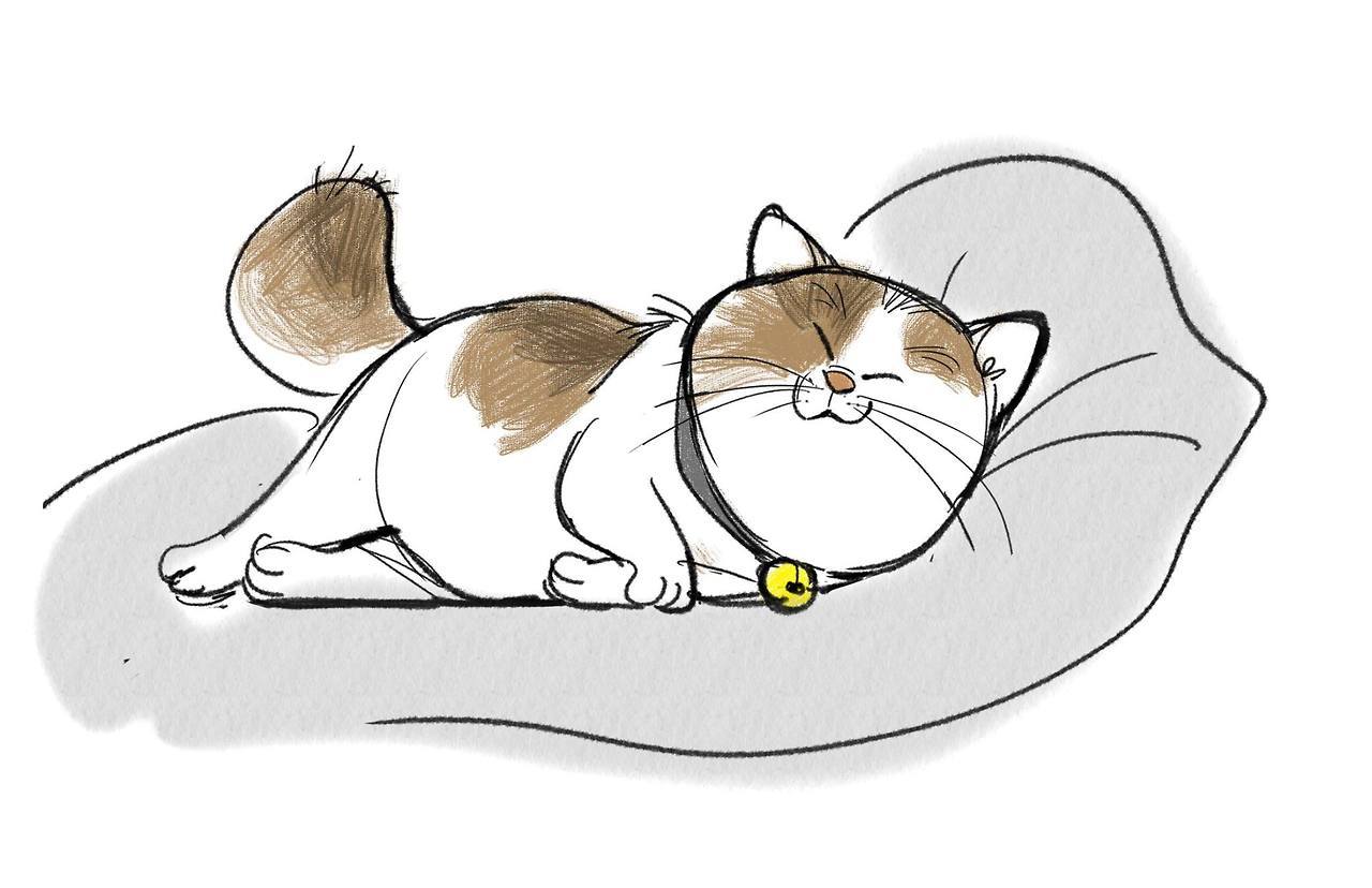 scurviesdisneyblog: Shiyoon Kim’s designs for Mochi from Big Hero 6 (x)
