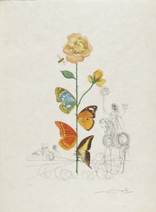 themodernartists: Salvador Dalí (Spanish, 1904-1989), Flora Dalinae, 1968. Etchings with drypoint an