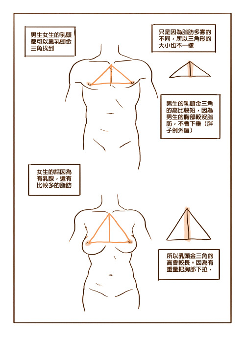 dconthedancefloor: simple guide of how you draw boobs and nipples