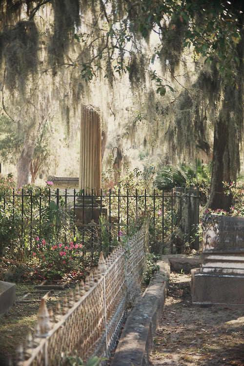 innerbohemienne:  “The cemetery is an open space among the ruins, covered in winter