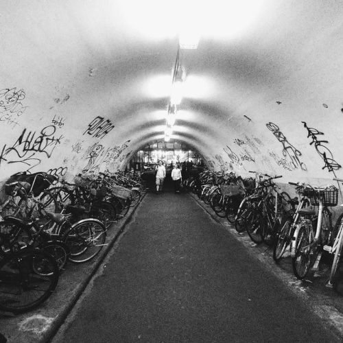 nipponrama: Bicycle Kingdom. www.instagram.com/p/BWkO6QtjIdy/