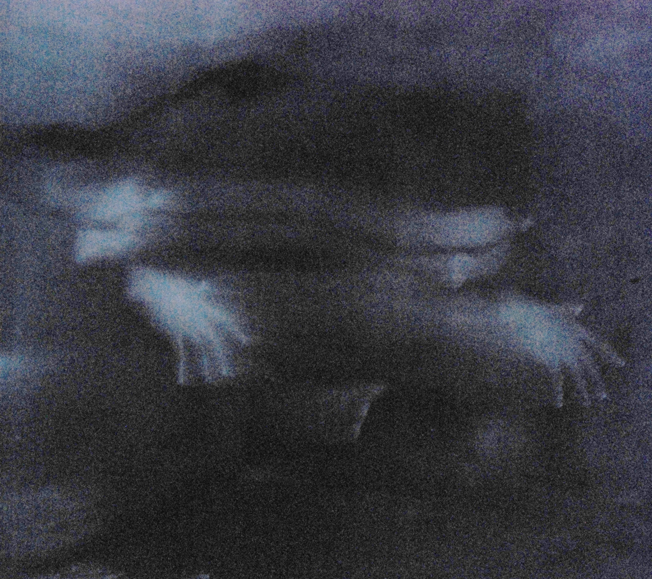 untrustyou:  Nasos Karabelas     
