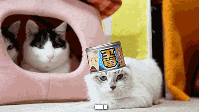 omg-pictures:  Oh helll nohttp://omg-pictures.tumblr.com