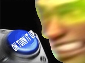 Senior Shit post Analyst