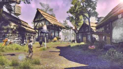lady-of-cinder:↳ The Elder Scrolls Online : Seyda NeenMorrowind