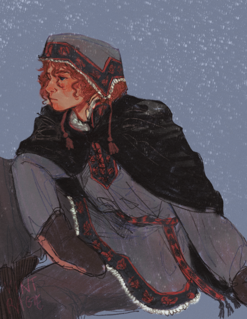 digital drawing of robb stark from a song of ice and fire. he is a young teenage boy with pale skin, blue eyes, and curly red hair. he is wearing thick winter clothing that is loosely inspired by nordic snow wear, with dark grey pants, a grey fur-lined tunic with a decorative red and dark grey trim, a light grey fur-lined hat with trim, as well as dark gloves and a cloak. he is sitting in 3/4 view, facing the left with a neutral expression. his nose, cheeks, and chin are red from cold, and there are snowflakes overlaid over the drawing. 
