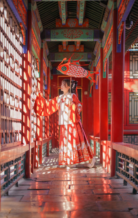 chinese hanfu and fish lantern by 喵斯拉一直睡不醒