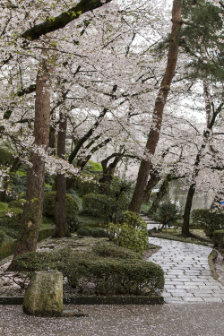 saqqoro:  Parco Kenroku-en - Kanazawa  