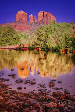The obligatory image of Cathedral RockSedona AZ a 2008 image, shot with Nikon D80, but reprocessed with PSCC - the newest technology to bring out what was captured in the RAW file, even this old D80 version, is incredible