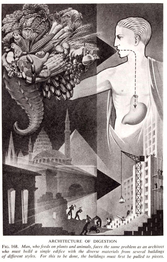 clawmarks:  Fritz Kahn 