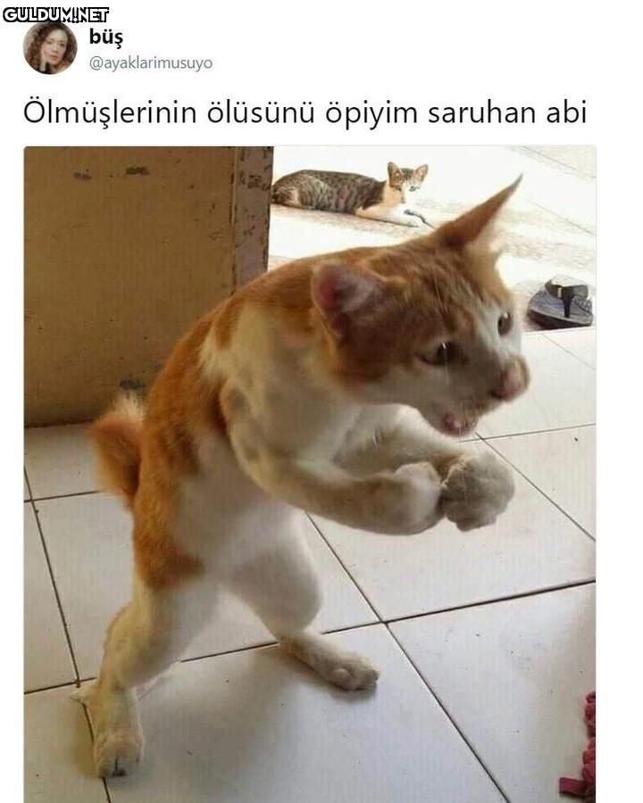 büş @ayaklarimusuyo...