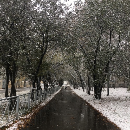 Snow, Go Away. I'm Still In The Halloween Mood, It's Too Early For Christmas