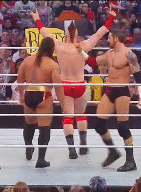 Forever Wrestle