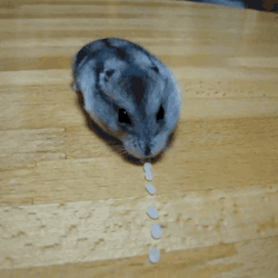 domain-of-the-bored:  Nomnomnomnomnom