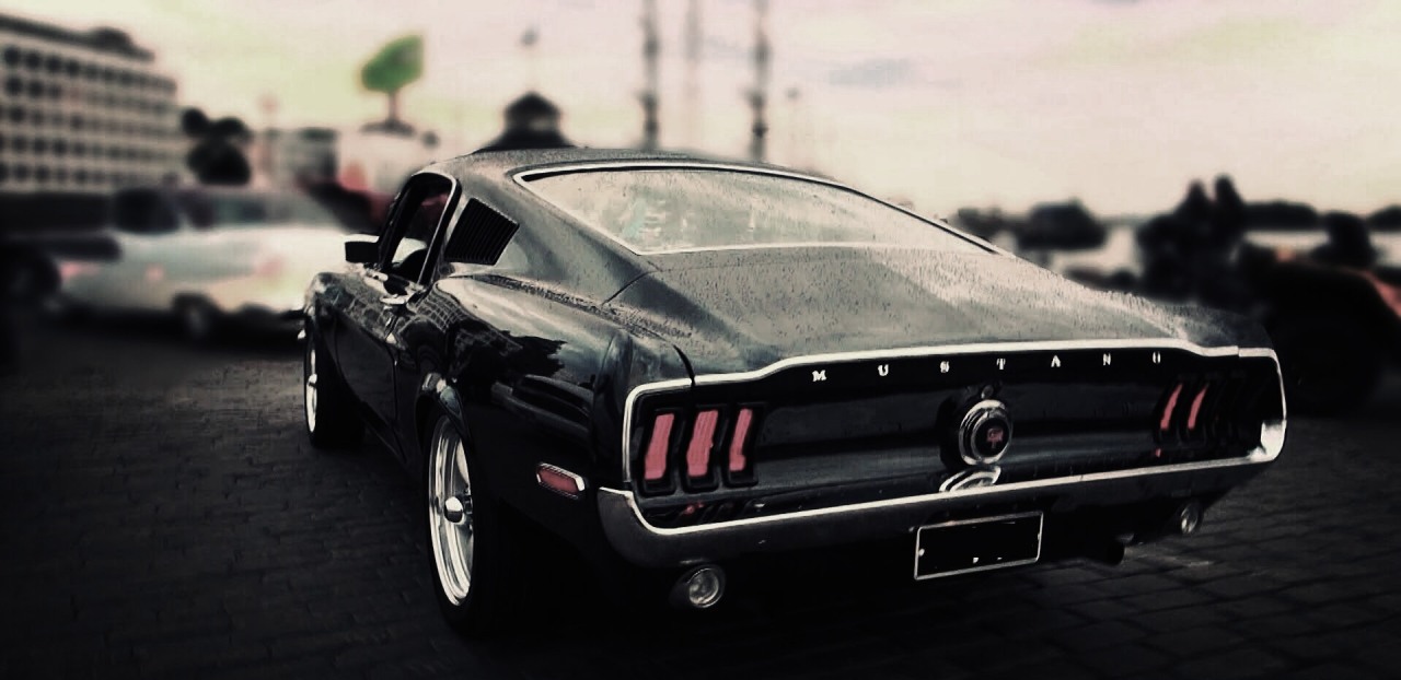 musclecarinstant:  thanks very much 