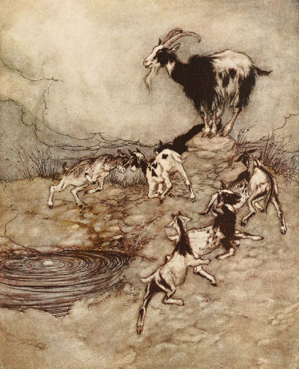 artist-rackham:The Seven Kids and their mother capered and danced round the spring in their joy, Rac