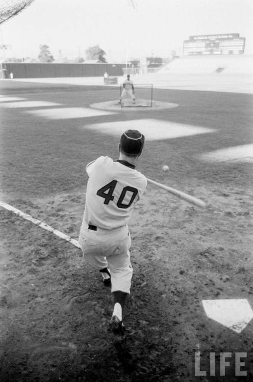 Batting practice for the Los Angeles Angels in Wrigley Field (Los Angeles) (Grey Villet. 1961)