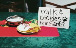 gatsbyadventures:  Milk &amp; cookies for Santa. 