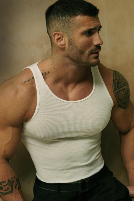 Julian Arroyuelo, A Bodybuilding Martial Artist Is Pure Perfection. That's What You're Supposed To Look