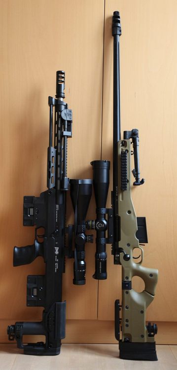 weaponslover:  DSR1 and AWM/P adult photos