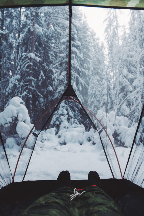 captvinvanity - Igor Cibulsky | Camping in winter