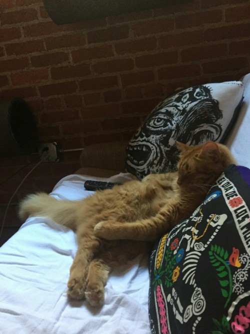 lithoshop: Duncan falls asleep watching the Olympics aside Bill Fick ’ s relief print pillow. 