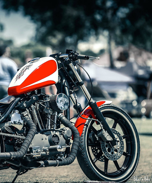 Motorcycleism