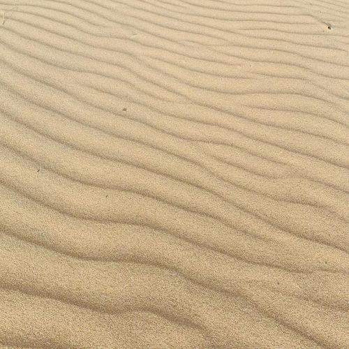 Texture on the beach (at Camber Sands) www.instagram.com/p/CEh1WfbHTGd/?igshid=cavd8k651v8y