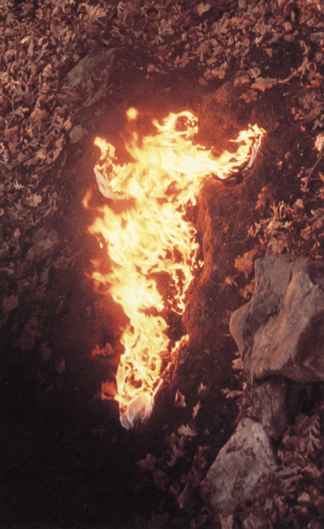 sangeau:Ana Mendieta, Silueta en Fuego, 1976
