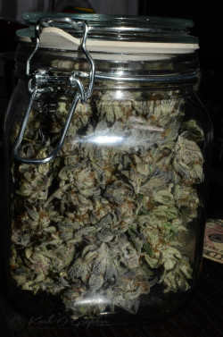 ifievergaveadamn:  50g of Girl Scouts Curing!