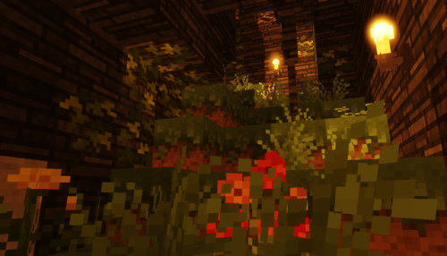 reflektive-craft: Bamboo Jungle Mine in the @yancakemc server! Never thought I’d run into a world ge