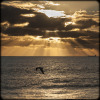 Sail or Fly :: Back Beach, Bunbury, Western Australia