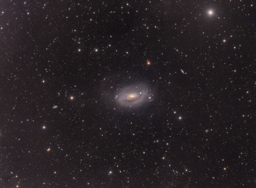 M63 // Sunflower Galaxy