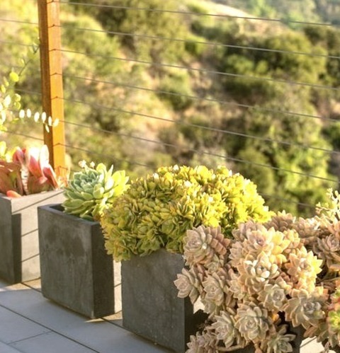 Landscape Los AngelesIdeas For A Medium-sized, Drought-resistant, Fully-shaded Backyard Walkway.