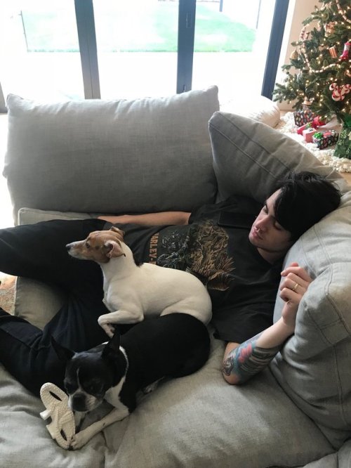 patdsnaps:brendonurie: Merry Christmas everyone!https://t.co/PSvENPVGTf