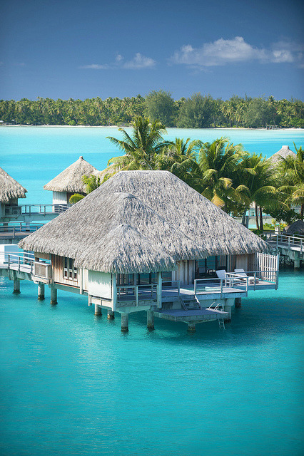 lifeisverybeautiful:The St. Regis Bora Bora Resort—Premium Over Water Villa by St. Regis Hotels and 