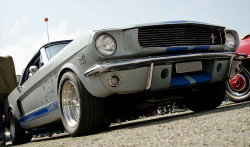 carpixx:  Ford Mustang Shelby GT 350