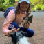 ducksoncardboard94