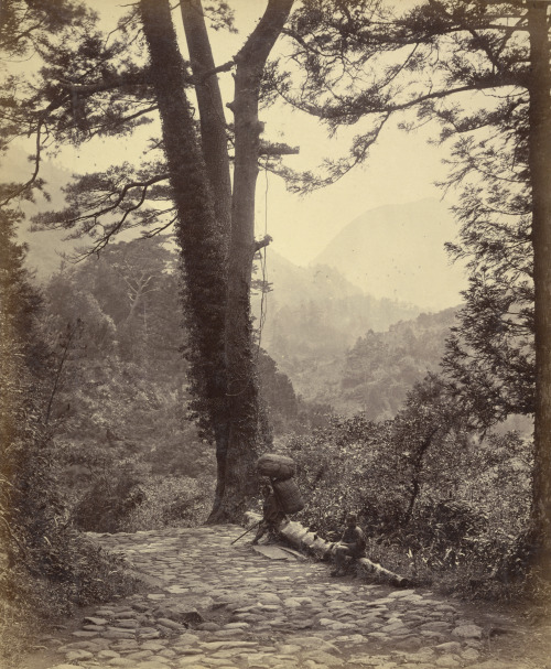 dame-de-pique: “ Felice Beato - View of the Hakone Pass Tōkaidō, Japan, 1863-1868 ”