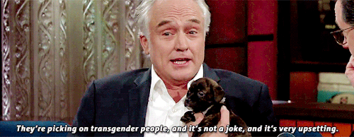 positivelypersistentteach:donnajosh:Bradley Whitford Needs A Service Dog To Deal With Trump’s Presid