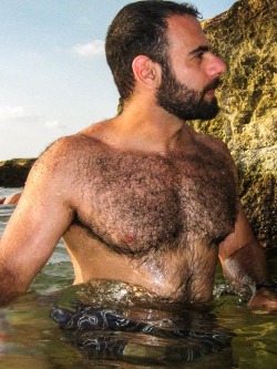 Follow my two hairy men blogs: http://sambrcln.tumblr.com http://hairysex.tumblr.com