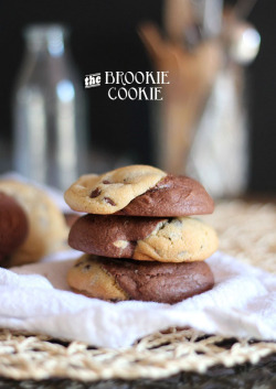 ourspacebetween:goddessrita:vvidget:  THE BEST COOKIE RECIPES :D The Brownie Cookie Recipe Chocolate Chunk Cookies Crème Brûlée Cookies Butterscotch Apple Pudding Cookies Deep Dish S’mores Cookies Buckeye Brownie Cookies Caramel Stuffed Truffle Cookies