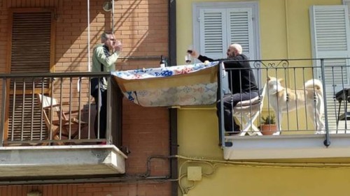 awed-frog:Life under quarantine: two friends have lunch together [Marche, Italy].