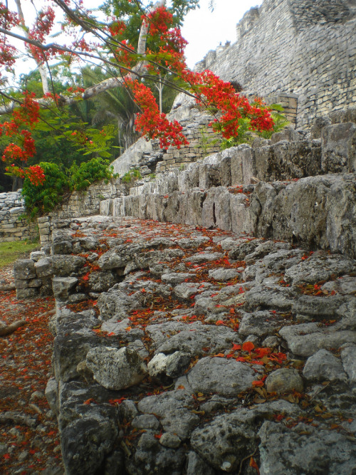 visitheworld:Kohunlich mayan ruins, Quintana Roo / Mexico (by Patrick Moore).