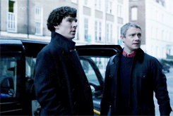 ughmystrade-deactivated20140611:  countdown to series three ►one otp: johnlock
