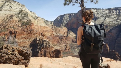 househunting:hiked angels landing today!