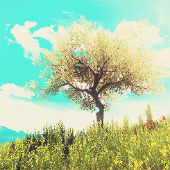 temerivia:Toussaint 1/?